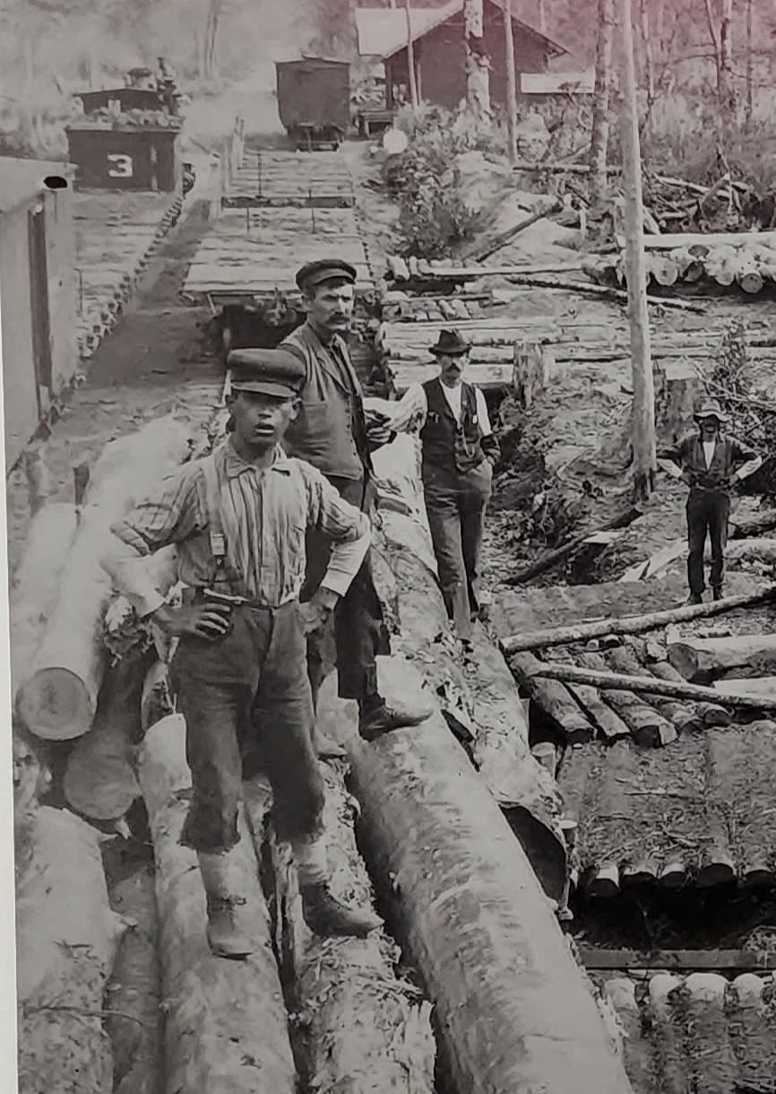 Empire Jct. logging operations